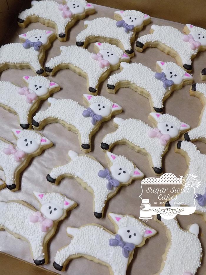 Little Lamb Cookies