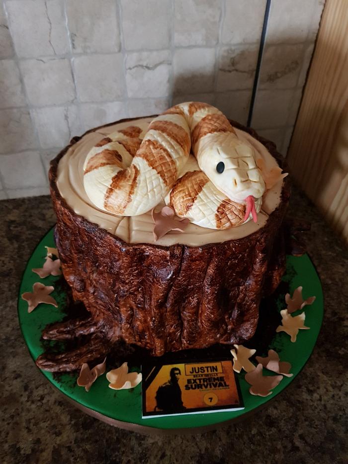 Snake cake