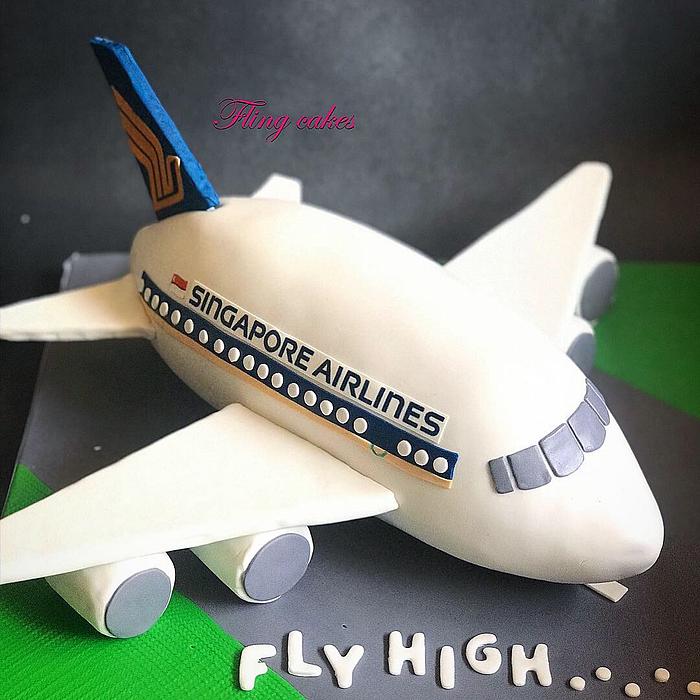 3d airplane cakey