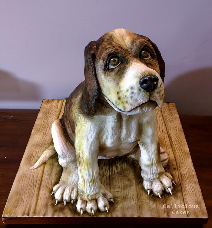 Beagle Dog Cake 