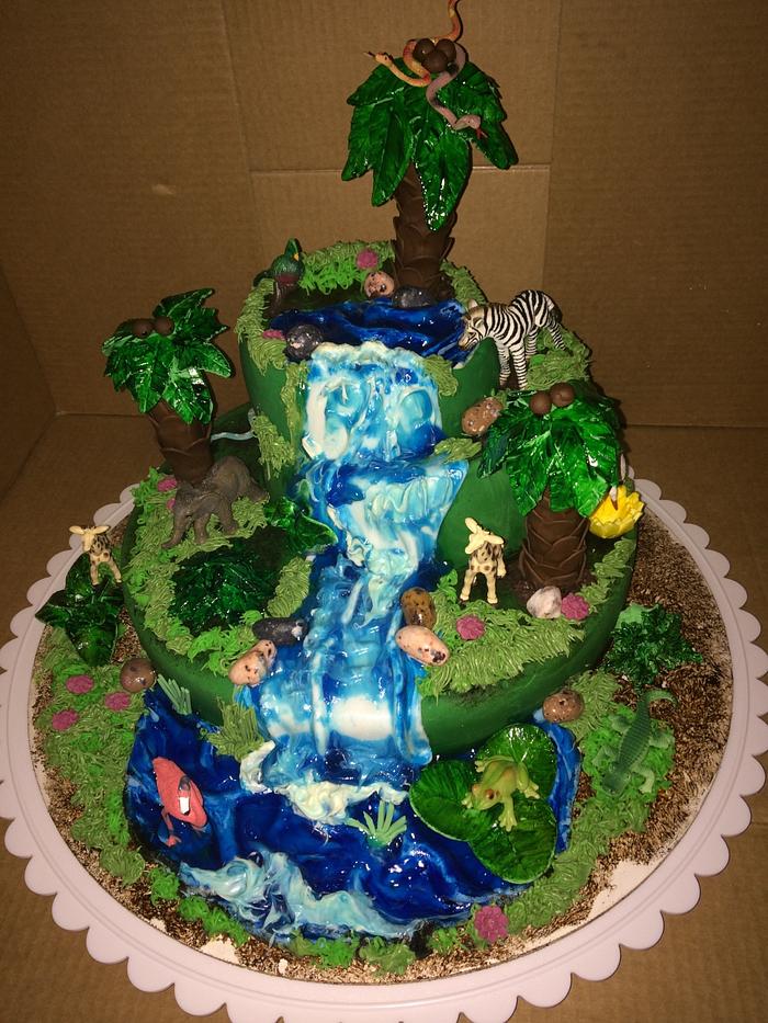 Amazon cake