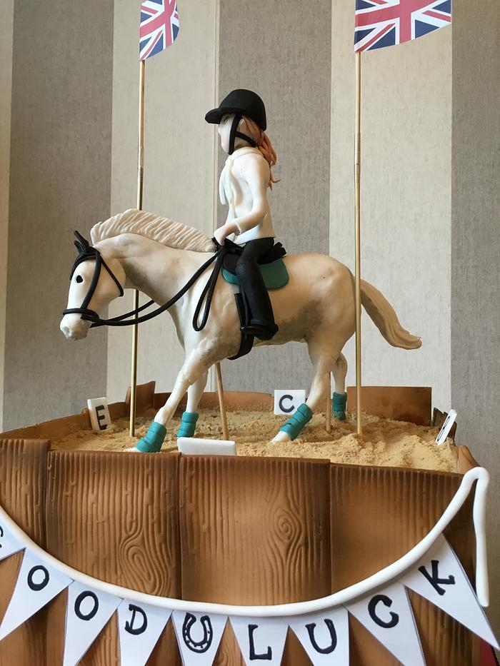 Dressage pony and rider