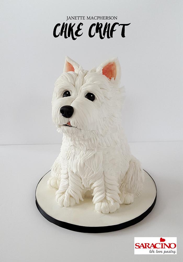 3D Westie dog cake