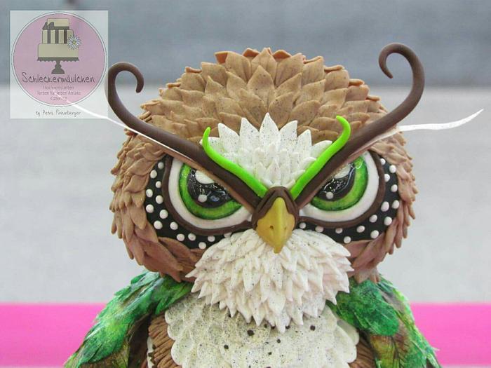 3D freestyle owl cake 
