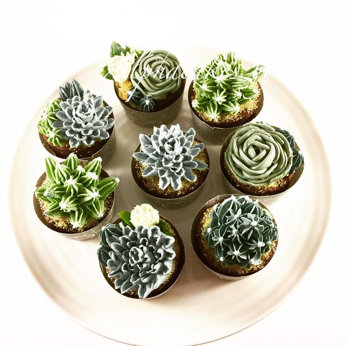 Succulent Cupcakes