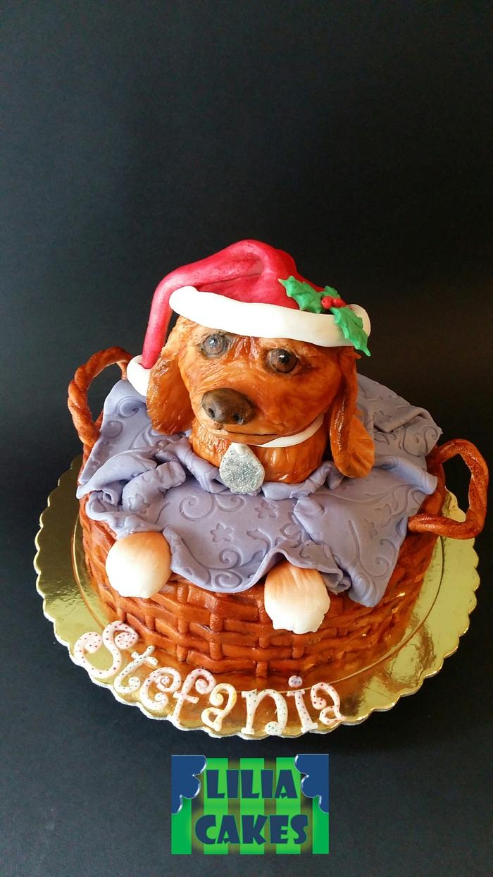 Puppy inside basket cake