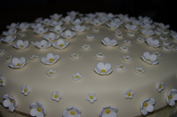 Passion fruit and white chocolate cake