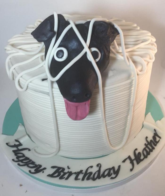 Dog in Yarn Cake