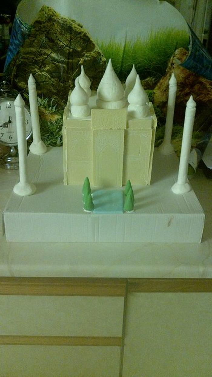 My 7 year old daughters taj mahal project made by her