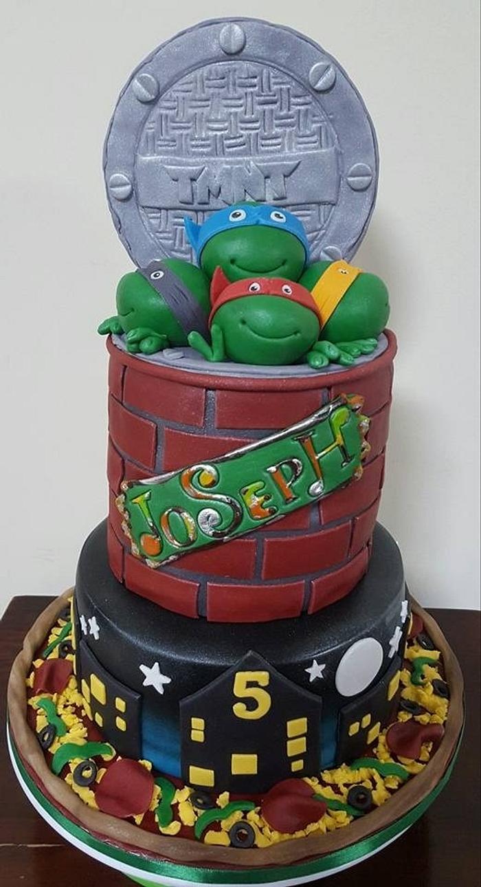 5th Birthday TMNT Cake