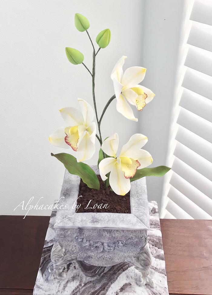 Orchid flower pot cake