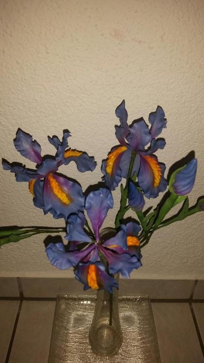 Gumpaste Iris