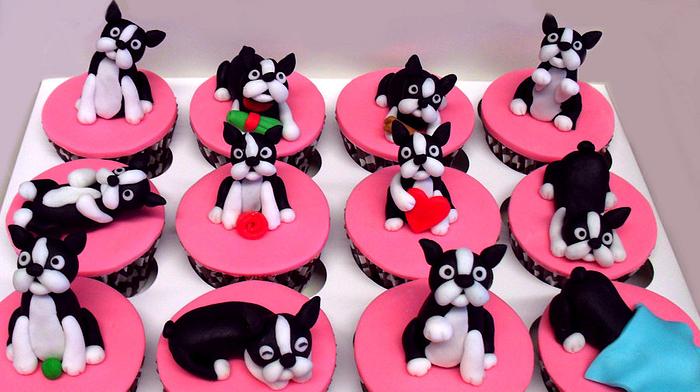 Boston Terrier Cupcakes