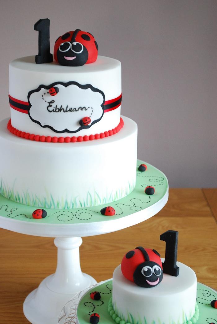Ladybird birthday cake
