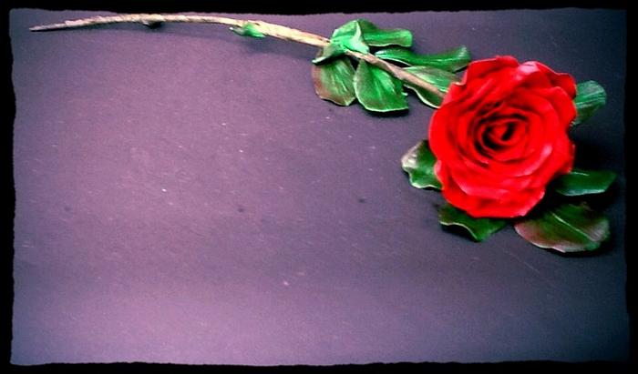 Long stem single red rose