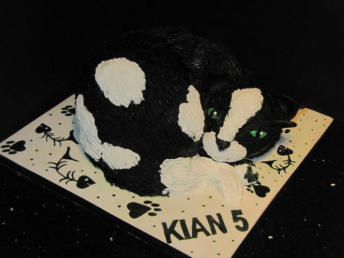kitty cat cake