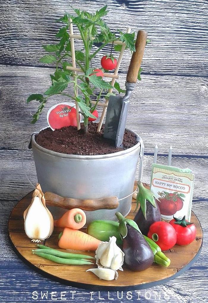 tomato plant and veggie cake 