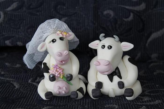 Bride and Groom Cow and Bull