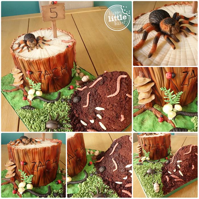 Bug / Mini Beast birthday cake
