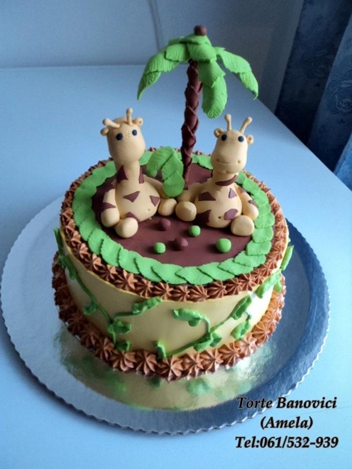 giraffe twin cake
