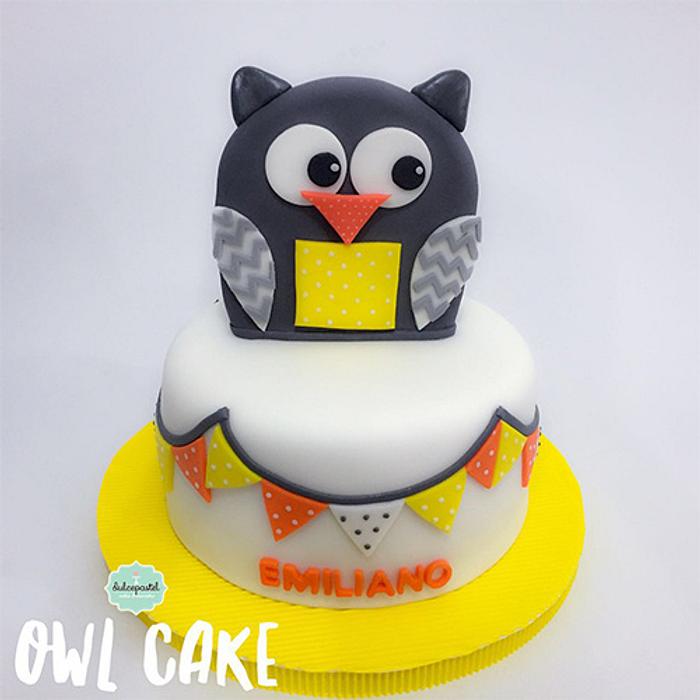 Torta Búho - Owl Cake