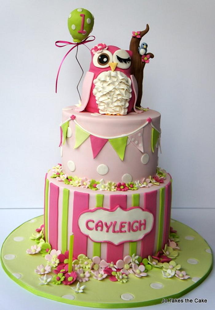 Pink and Green Owl
