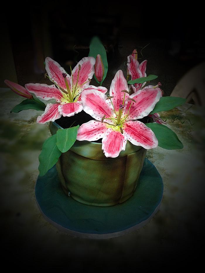 Stargazer lily pot cake