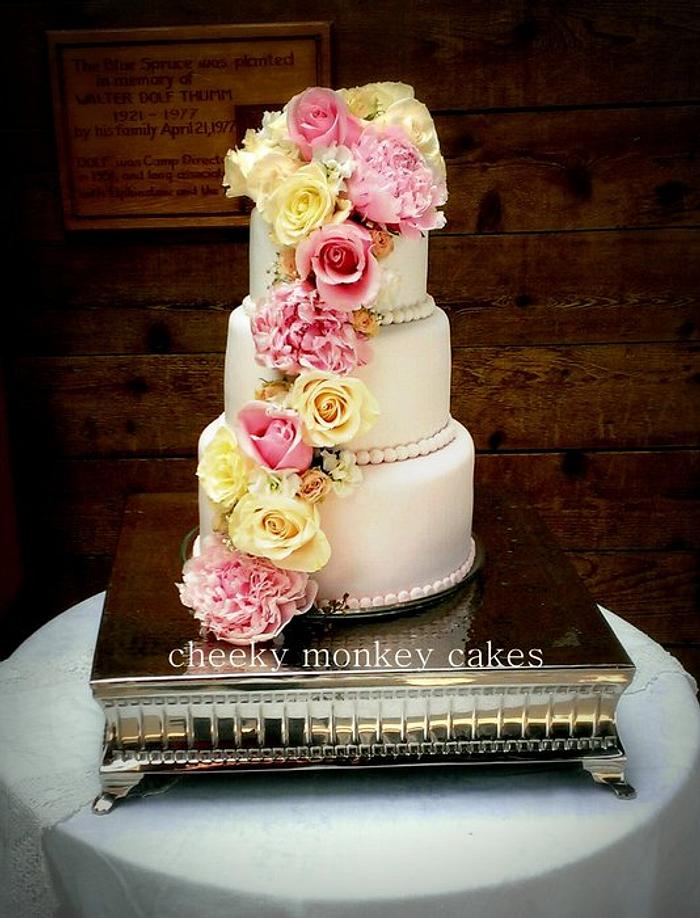 ombre blush tones wedding cake