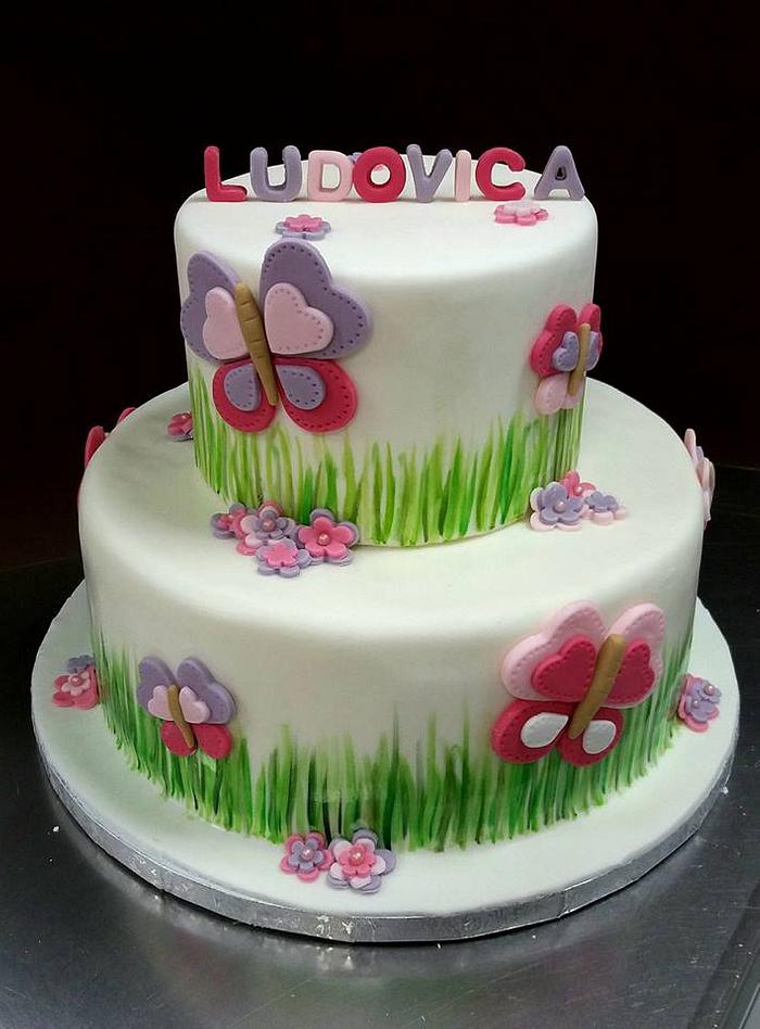 Romantic butterfly cake