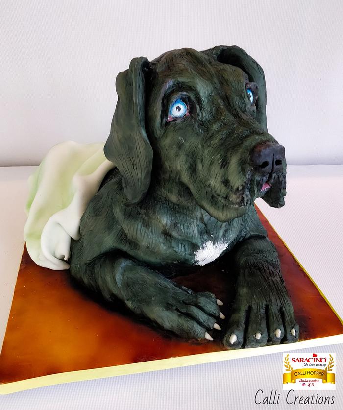 Great Dane puppy cake 