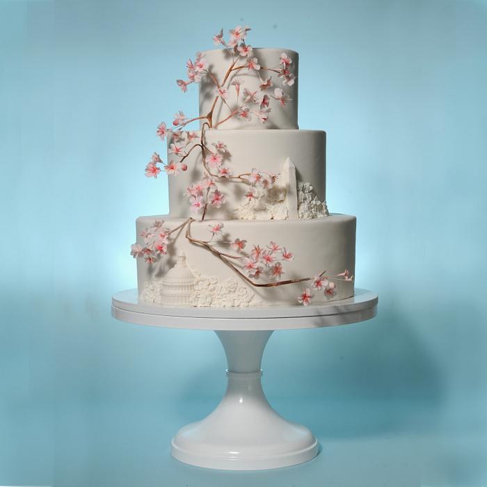 DC wedding cake