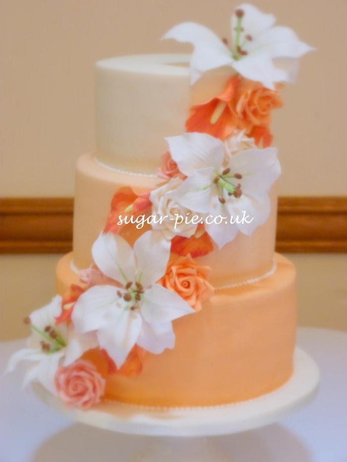 Orange ombre cake