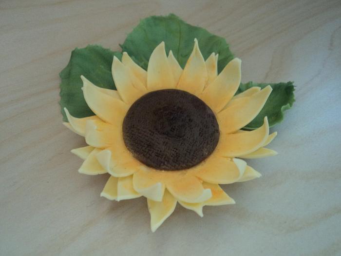Sunflower (take 2)