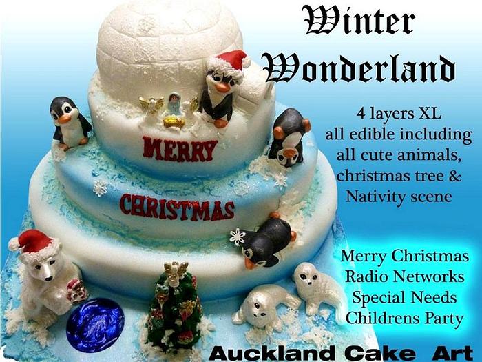 Winter Wonderland - special needs childrens party