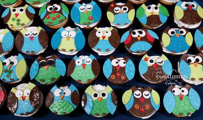 Owl cupcakes