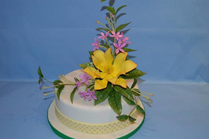 Cake with Magnolia