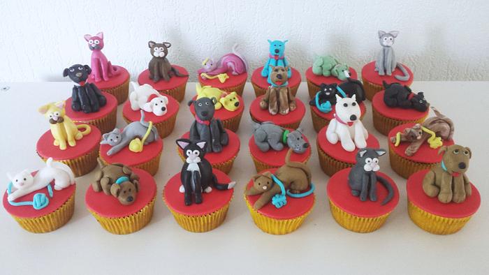 Dogs & Cats cupcakes
