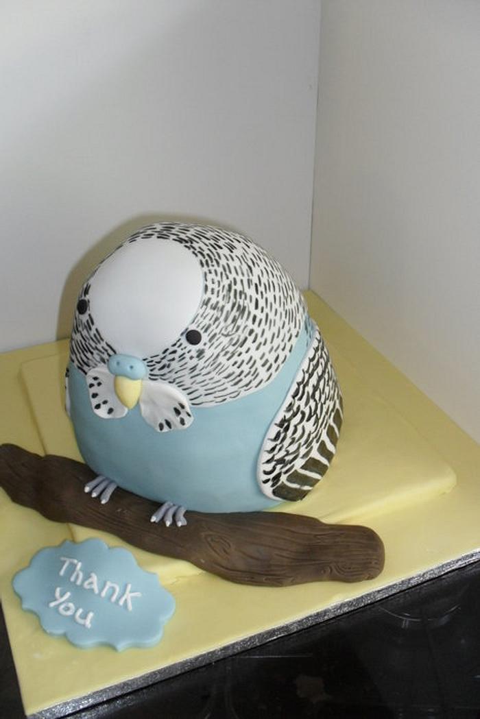 Budgie thank you cake