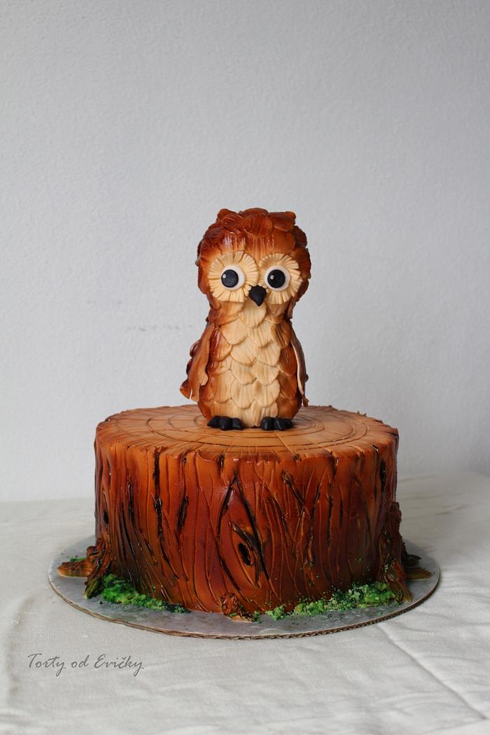 Owl on tree stump