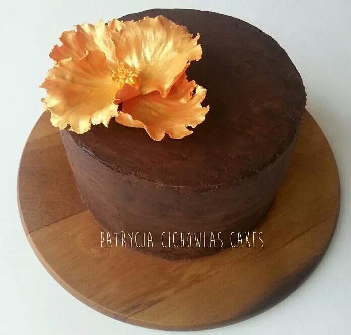 simply ganache cake