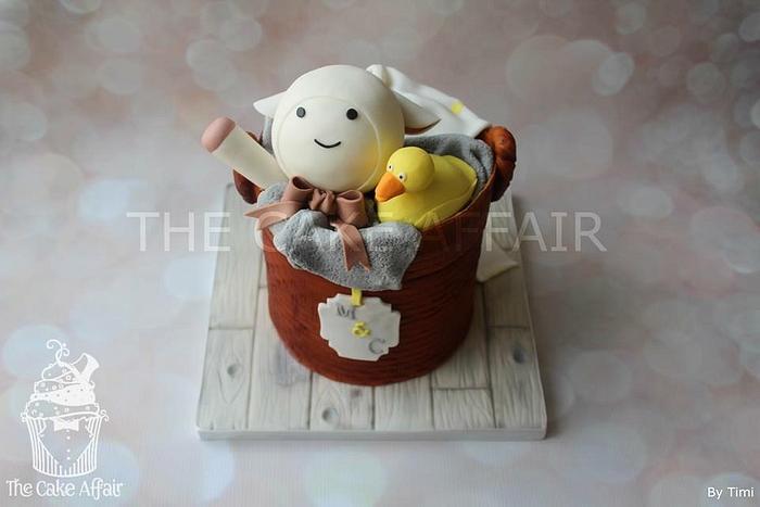 Baby basket with toys