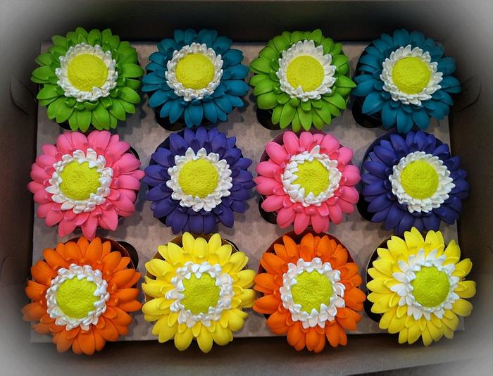 Spring daisy cupcakes