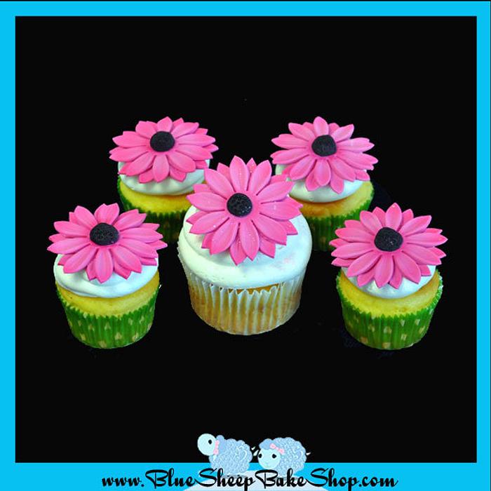 Gerbera Daisy Cupcakes