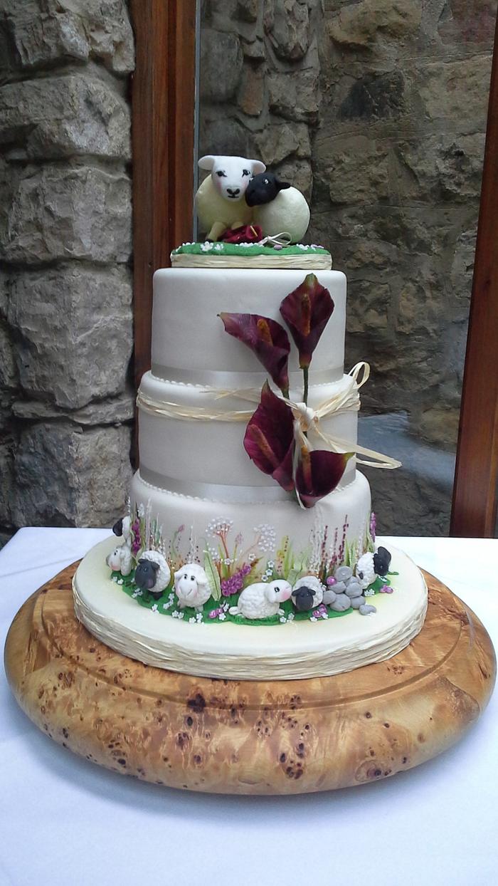 sheep wedding cake