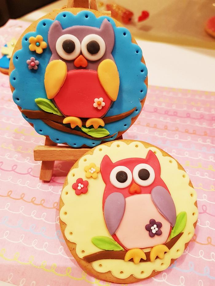 Owl cookies 