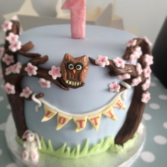 A hoot of a cake 🦉