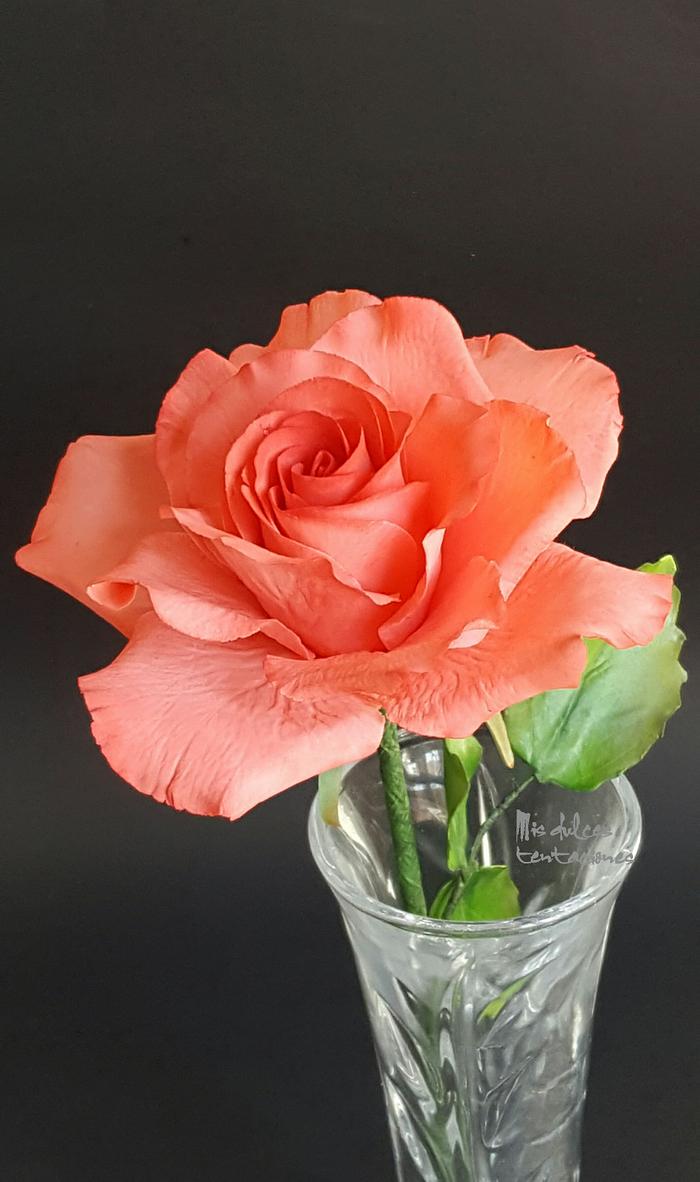 Sugar flower rose 