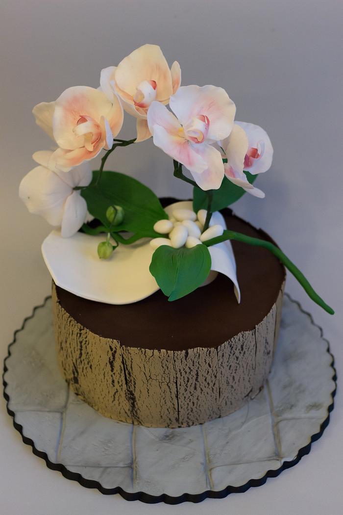Moth orchid cake