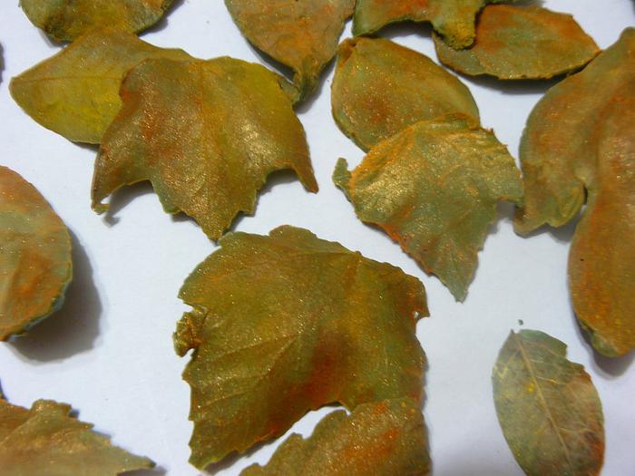 chocolte leaves