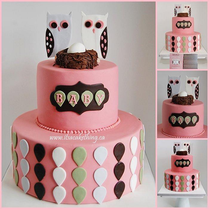 Adorable Baby Shower Owl Themed Cake